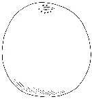 Masa the snowman button